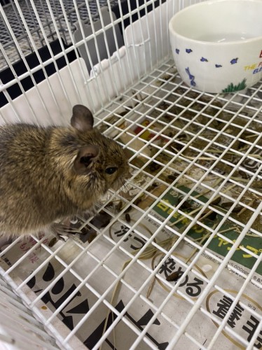 写真 2022-06-05 10 33 05 (3)