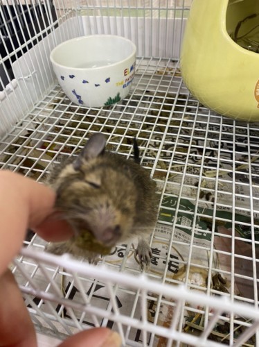 写真 2022-06-05 10 33 06