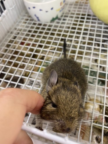 写真 2022-06-05 10 33 05