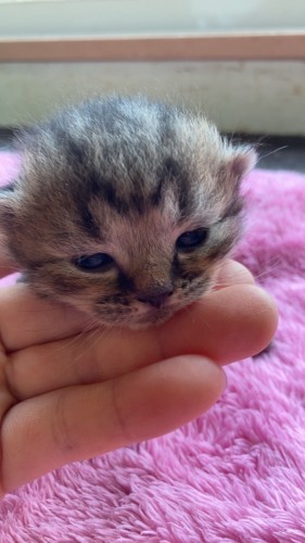 写真 2022-06-01 11 19 33