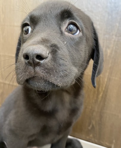 写真 2022-06-09 11 59 12 (1)