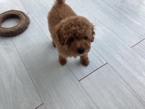 6472ECC5-B38A-4016-B637-CF2CEF76C154