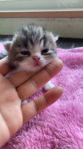 写真 2022-06-01 11 19 38