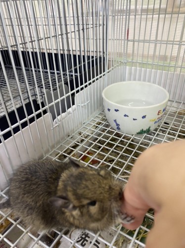 写真 2022-06-05 10 33 05 (2)