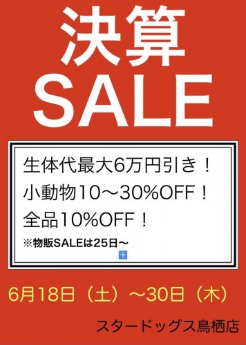 AD1A2A38-C6A1-42F7-A737-C8126D683825