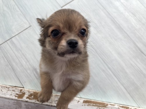 AFD4E0B5-4BD0-458F-AF6B-9F00BC581DBC