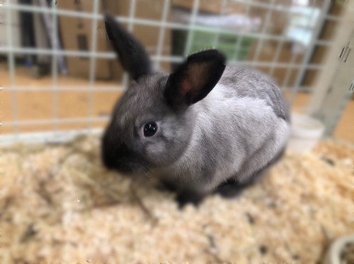 写真 2022-06-10 11 48 45