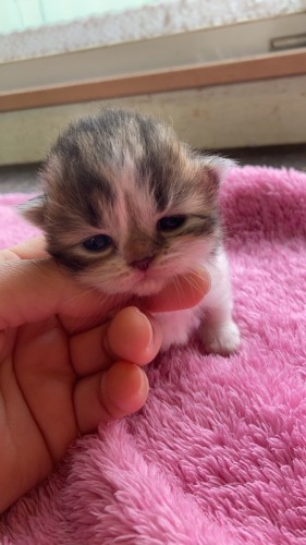 写真 2022-06-01 11 19 45