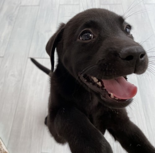 写真 2022-06-13 12 54 59