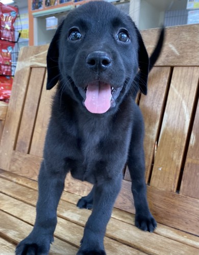 写真 2022-06-13 12 47 00