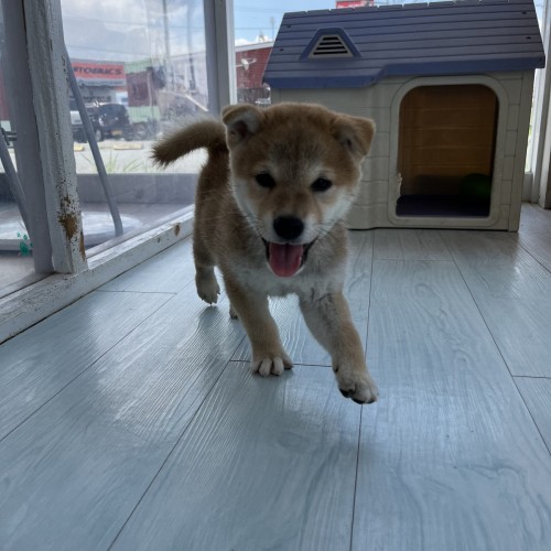 写真 2022-07-22 12 04 17