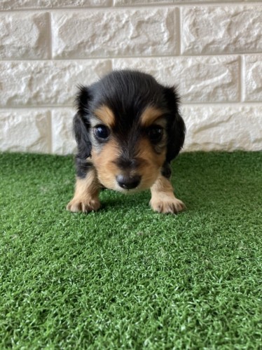 写真 2022-07-25 13 20 37