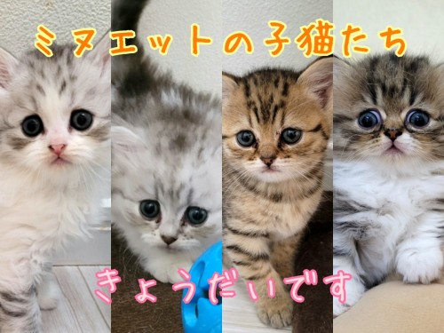 22-07-28-23-12-45-111_deco