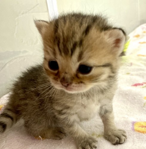 写真 2022-07-04 13 41 54 (1)