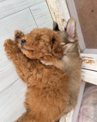 写真 2022-07-01 17 15 05