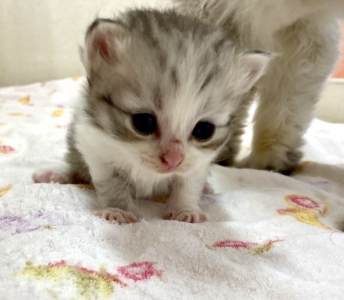 写真 2022-07-04 13 40 28 (1)