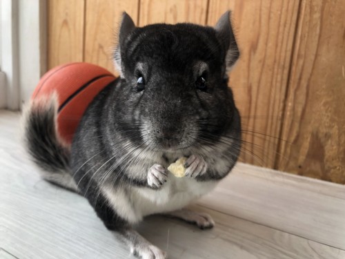 97A42678-E1D3-4230-B5FD-B7EE89D163BD