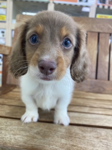 B73DC702-9A12-471F-8E2A-E185E63DA8E1