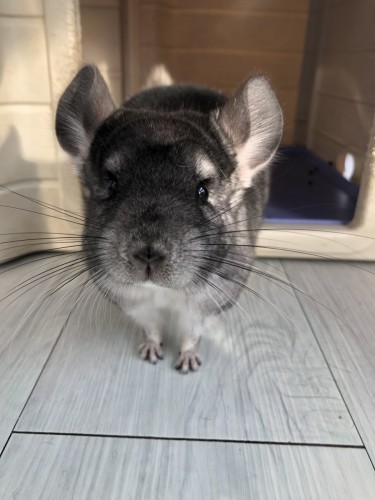 BD3C90A0-53A1-4F6B-A99F-691B73367217