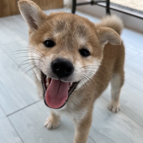 写真 2022-07-22 12 06 15