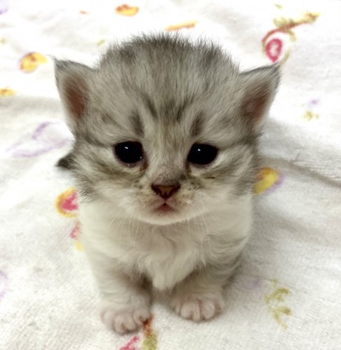 写真 2022-07-04 13 42 10 (1)