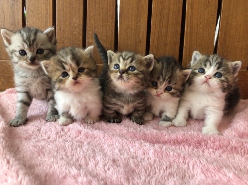 写真 2022-06-12 13 55 37