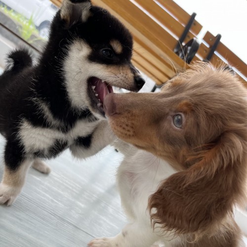 写真 2022-08-23 12 43 39