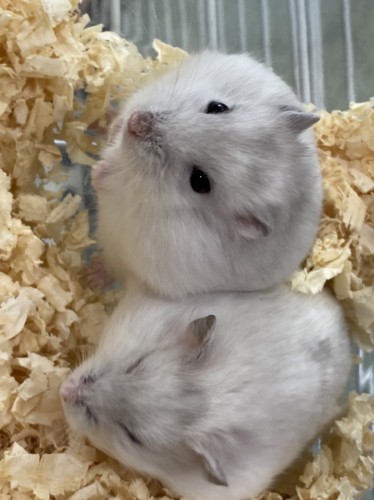 写真 2022-08-12 13 45 41 (2)