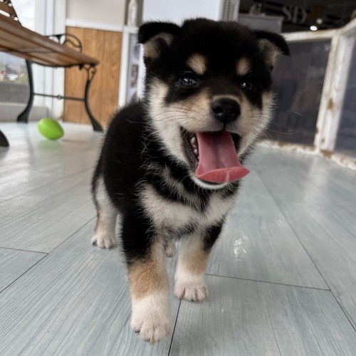 写真 2022-08-20 11 17 20 (1)