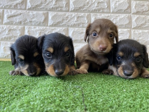 写真 2022-08-03 12 02 06