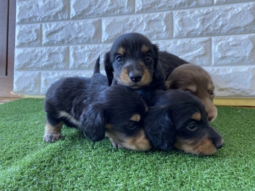 写真 2022-08-03 12 02 58