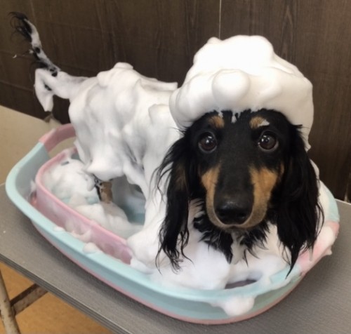 3195BE1A-DE08-4247-B3AC-83BE5E01C52C