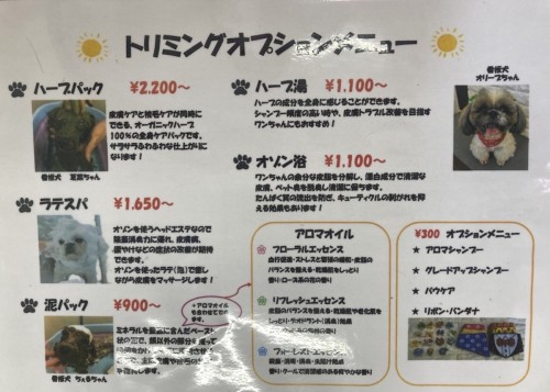 写真 2022-08-15 11 37 21