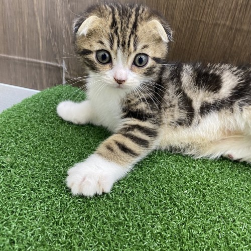 写真 2022-08-08 12 30 03