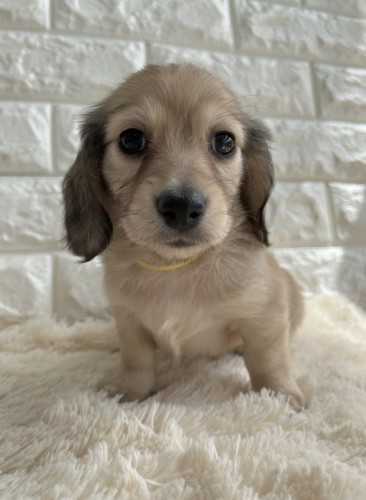 写真 2022-08-28 13 44 15