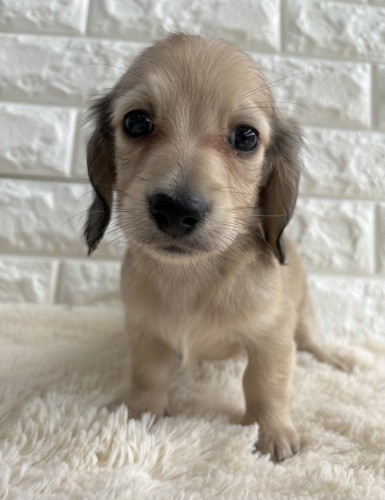 写真 2022-08-28 13 36 42