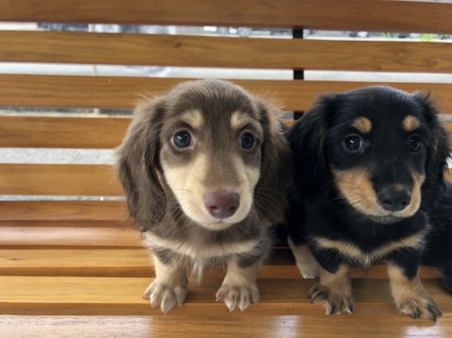 写真 2022-08-29 11 24 25 (1)