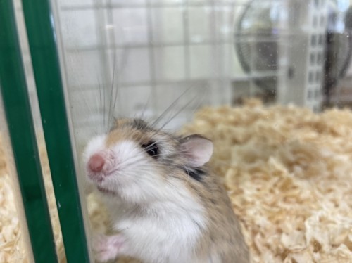 写真 2022-08-12 13 45 41