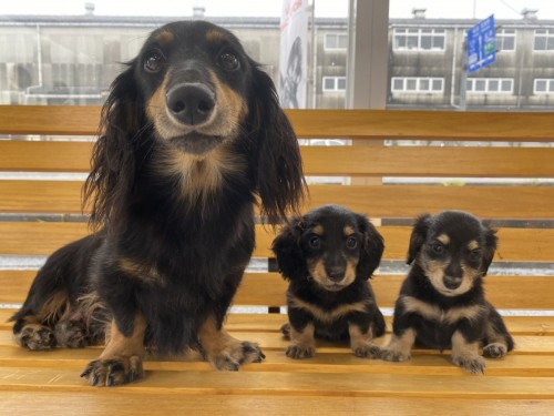 写真 2022-08-17 14 29 47