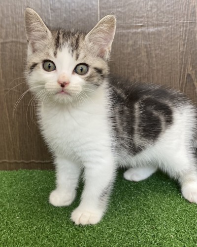 写真 2022-08-08 12 31 49