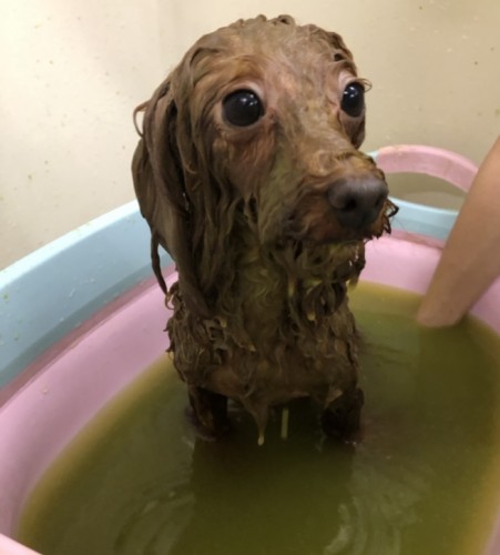 6C60621D-2FBC-465D-891C-D471EDAE337A