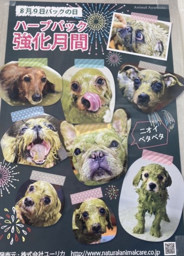 写真 2022-08-15 11 40 05