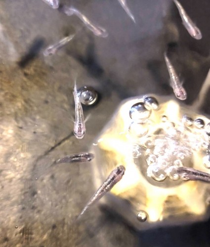 写真 2022-08-19 10 46 22 (1)