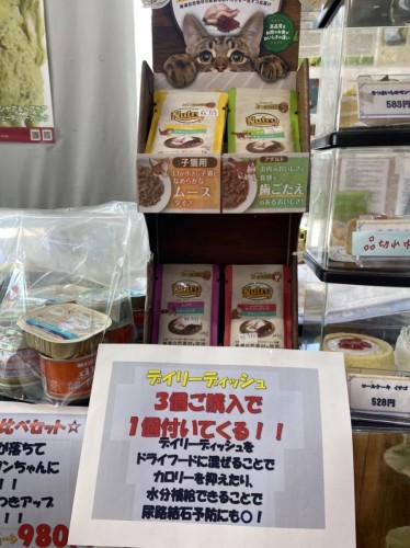 写真 2022-08-07 13 22 43 (1)