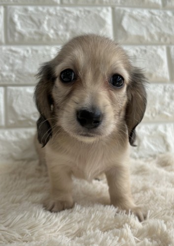 写真 2022-08-28 13 43 30