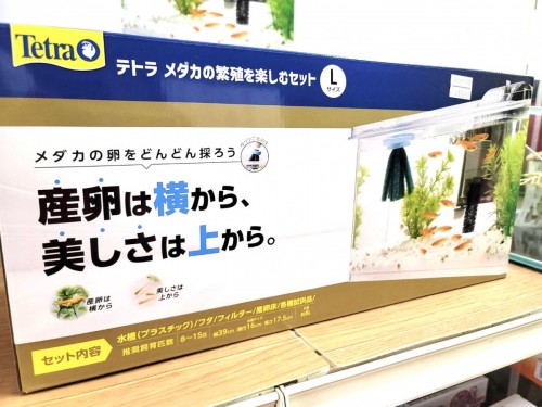 写真 2022-08-19 10 46 22 (2)