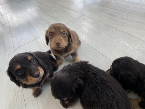 写真 2022-08-03 12 11 39