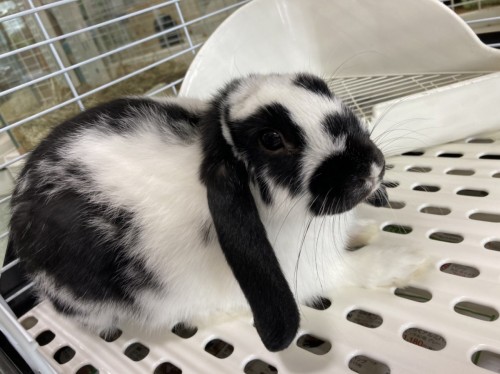 写真 2022-08-06 11 16 11