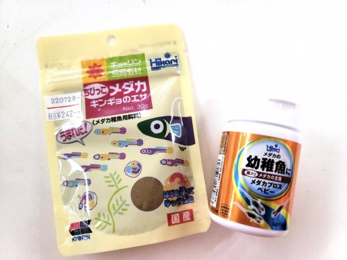 写真 2022-08-19 10 46 22