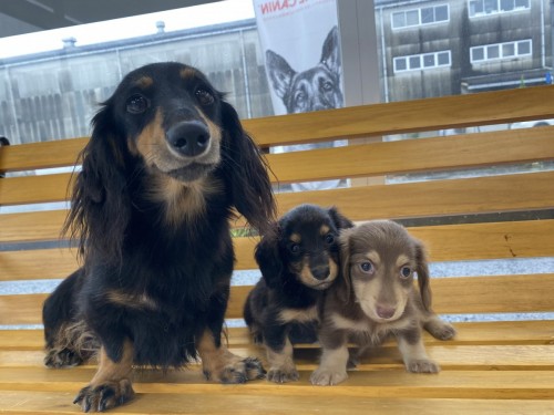 写真 2022-08-17 14 30 56